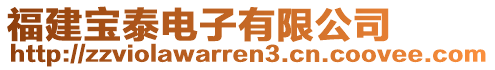 福建寶泰電子有限公司