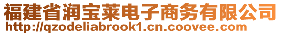 福建省潤寶萊電子商務有限公司