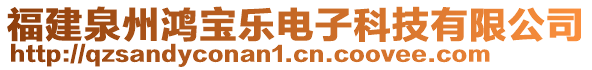 福建泉州鴻寶樂(lè)電子科技有限公司