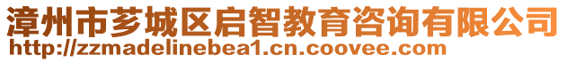 漳州市薌城區啟智教育咨詢有限公司
