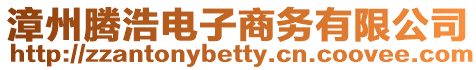 漳州騰浩電子商務(wù)有限公司