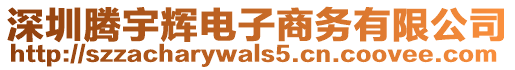 深圳騰宇輝電子商務有限公司