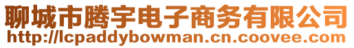 聊城市騰宇電子商務(wù)有限公司