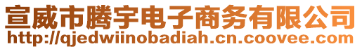 宣威市騰宇電子商務有限公司
