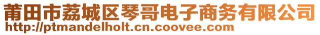 莆田市荔城區(qū)琴哥電子商務有限公司