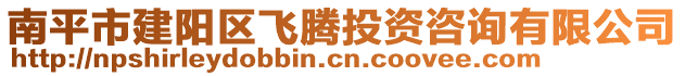 南平市建陽區(qū)飛騰投資咨詢有限公司