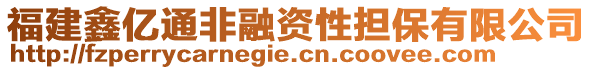 福建鑫億通非融資性擔保有限公司