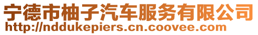 寧德市柚子汽車服務有限公司