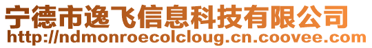 寧德市逸飛信息科技有限公司