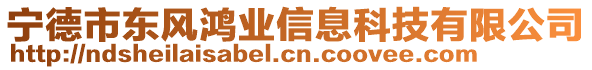 宁德市东风鸿业信息科技有限公司