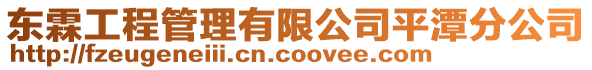 東霖工程管理有限公司平潭分公司