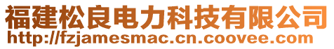 福建松良電力科技有限公司