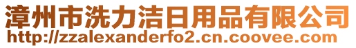 漳州市洗力潔日用品有限公司