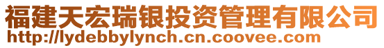 福建天宏瑞銀投資管理有限公司