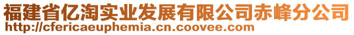 福建省億淘實業(yè)發(fā)展有限公司赤峰分公司