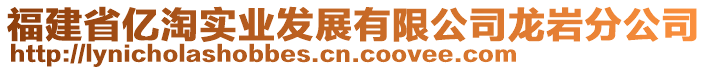 福建省億淘實(shí)業(yè)發(fā)展有限公司龍巖分公司