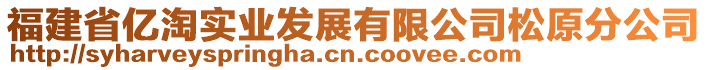 福建省億淘實(shí)業(yè)發(fā)展有限公司松原分公司