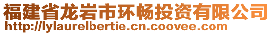 福建省龍巖市環(huán)暢投資有限公司