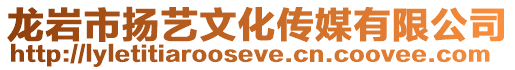 龍巖市揚(yáng)藝文化傳媒有限公司