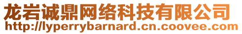 龍巖誠鼎網(wǎng)絡(luò)科技有限公司