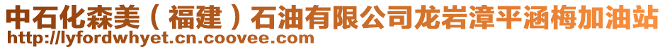 中石化森美(福建)石油有限公司龍巖漳平涵梅加油站