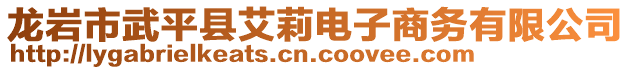 龍巖市武平縣艾莉電子商務(wù)有限公司