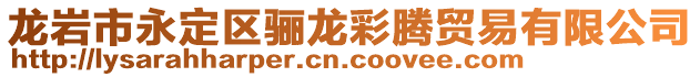 龍巖市永定區(qū)驪龍彩騰貿(mào)易有限公司