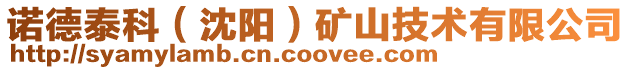 諾德泰科(沈陽)礦山技術有限公司