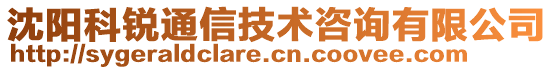 沈陽科銳通信技術(shù)咨詢有限公司