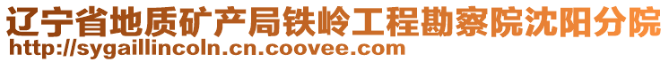 遼寧省地質礦產局鐵嶺工程勘察院沈陽分院