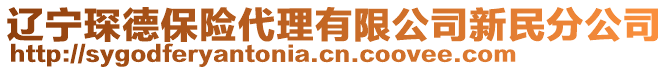 遼寧琛德保險(xiǎn)代理有限公司新民分公司