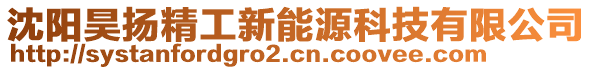 沈陽昊揚精工新能源科技有限公司