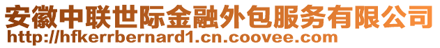 安徽中聯(lián)世際金融外包服務(wù)有限公司