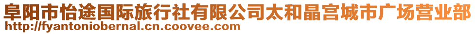 阜陽市怡途國際旅行社有限公司太和晶宮城市廣場營業(yè)部