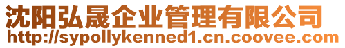沈陽弘晟企業管理有限公司