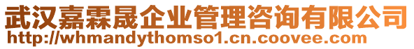 武漢嘉霖晟企業(yè)管理咨詢有限公司