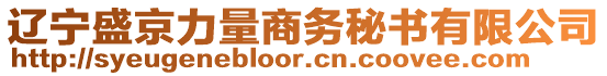 遼寧盛京力量商務秘書有限公司