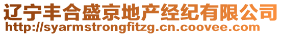 遼寧豐合盛京地產(chǎn)經(jīng)紀(jì)有限公司