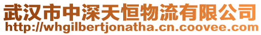 武漢市中深天恒物流有限公司