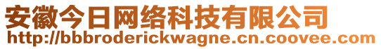 安徽今日網(wǎng)絡(luò)科技有限公司