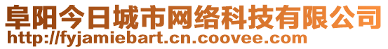 阜陽(yáng)今日城市網(wǎng)絡(luò)科技有限公司