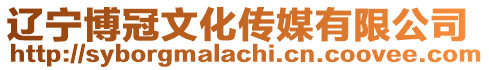 遼寧博冠文化傳媒有限公司