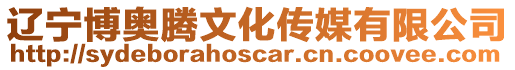 遼寧博奧騰文化傳媒有限公司