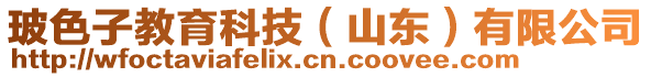 玻色子教育科技(山東)有限公司