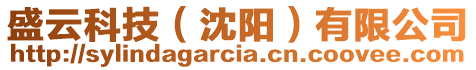 盛云科技(沈陽)有限公司