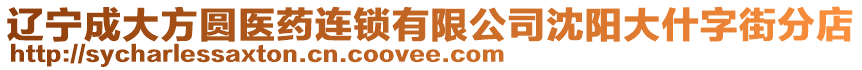 遼寧成大方圓醫藥連鎖有限公司沈陽大什字街分店