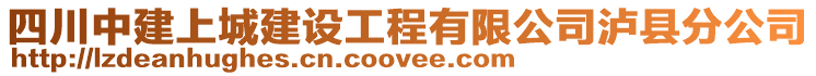 四川中建上城建設工程有限公司瀘縣分公司