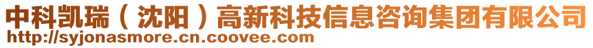 中科凱瑞（沈陽(yáng)）高新科技信息咨詢集團(tuán)有限公司