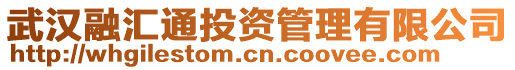 武漢融匯通投資管理有限公司