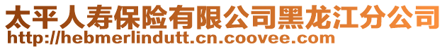 太平人壽保險有限公司黑龍江分公司